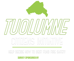 Citizens Initiative - Logo2